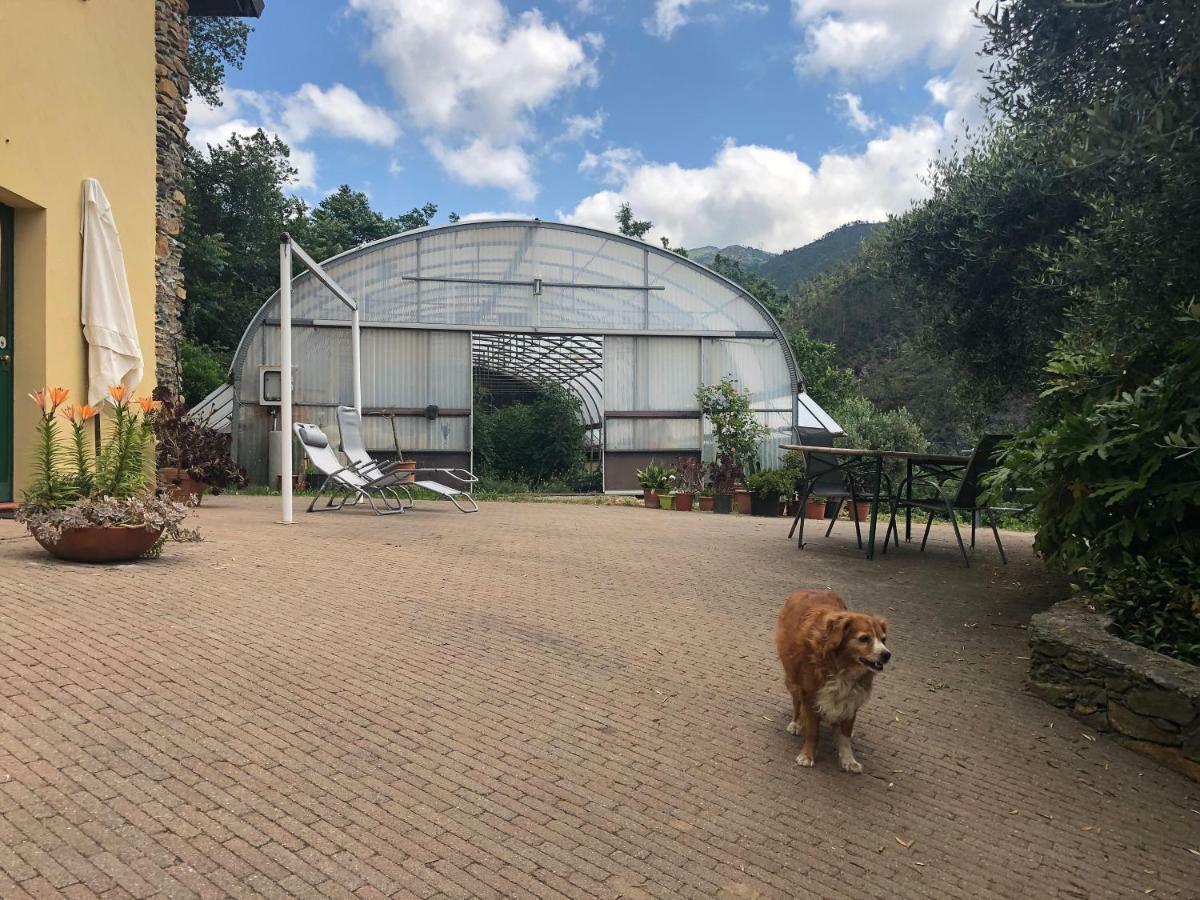 Villa Agriturismo Argentea Arenzano Exterior foto